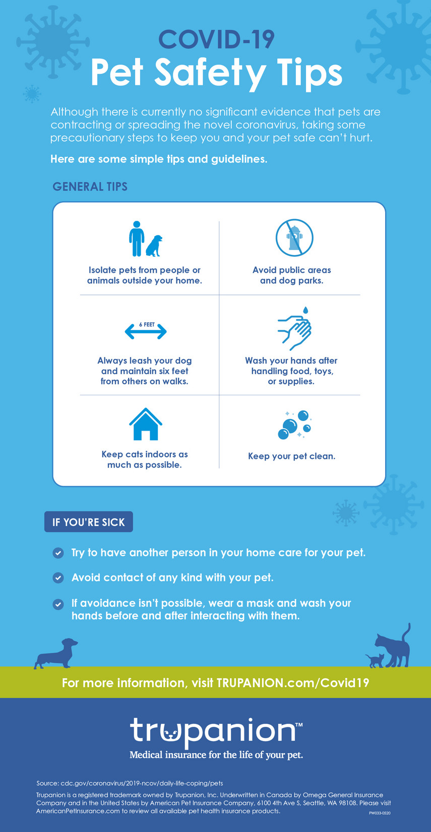 covid pet safety infographic
