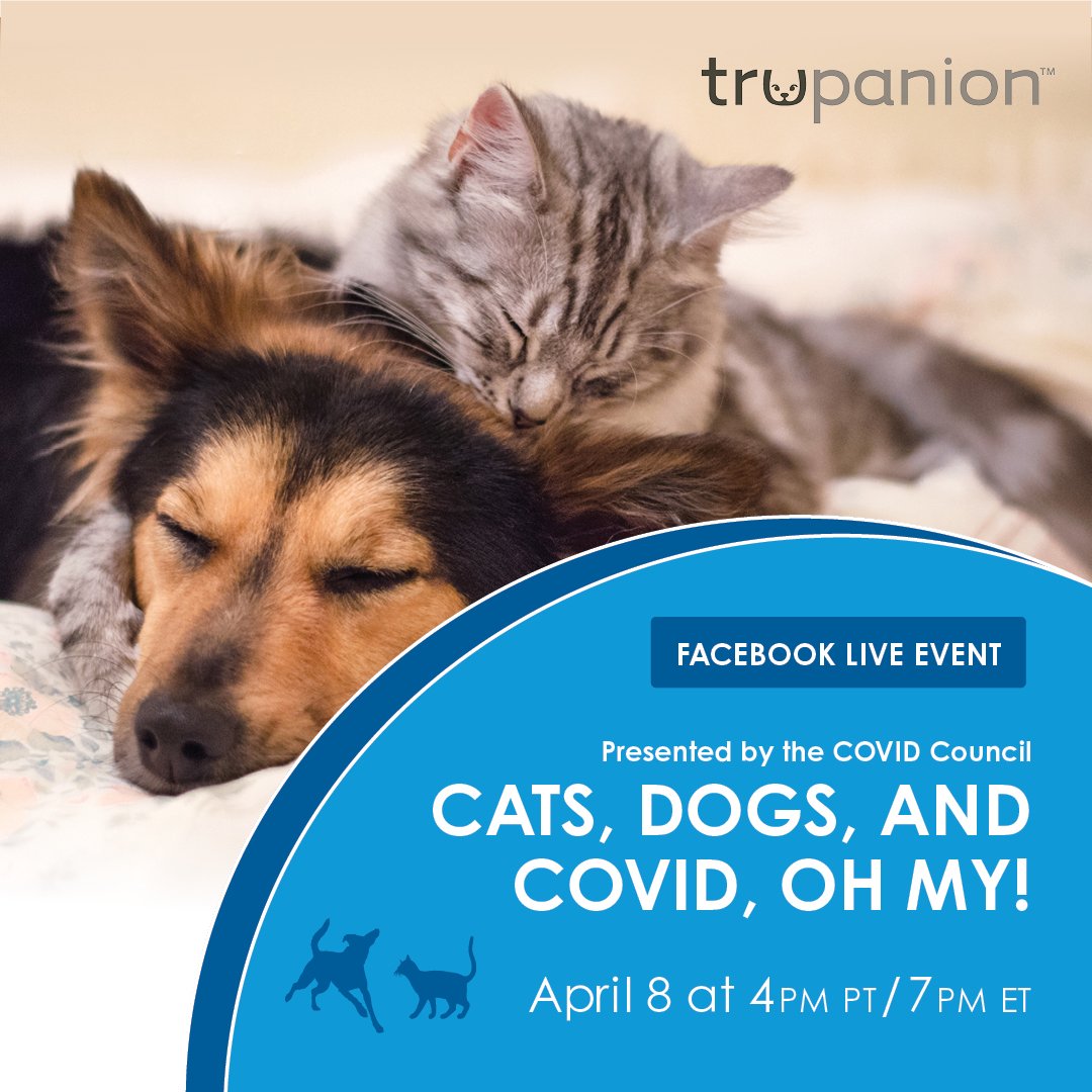 Facebook Live | Consejo COVID-19 de Sanidad Animal