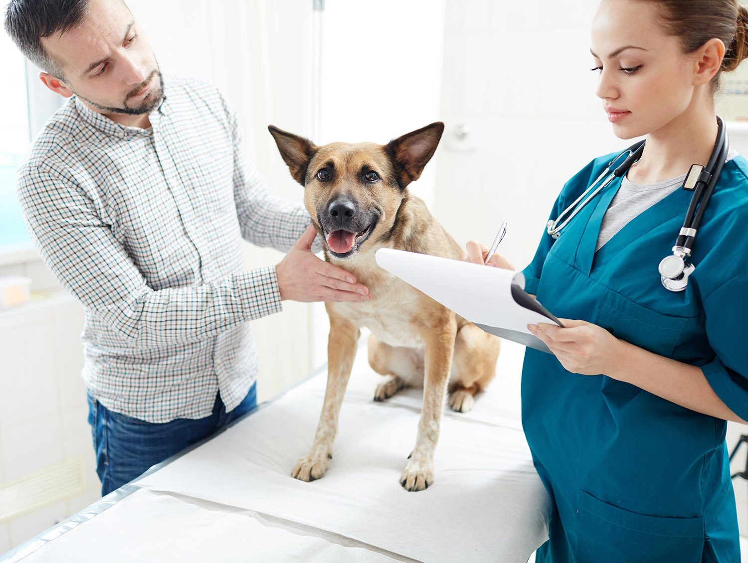 Countering the Costs Amid a Growing Divide in Pet Care