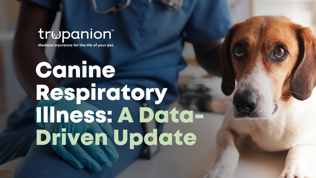 Trupanion Reconvenes Council on Animal Health; Provides Data-Driven Update on ‘Mystery’ Canine Re...