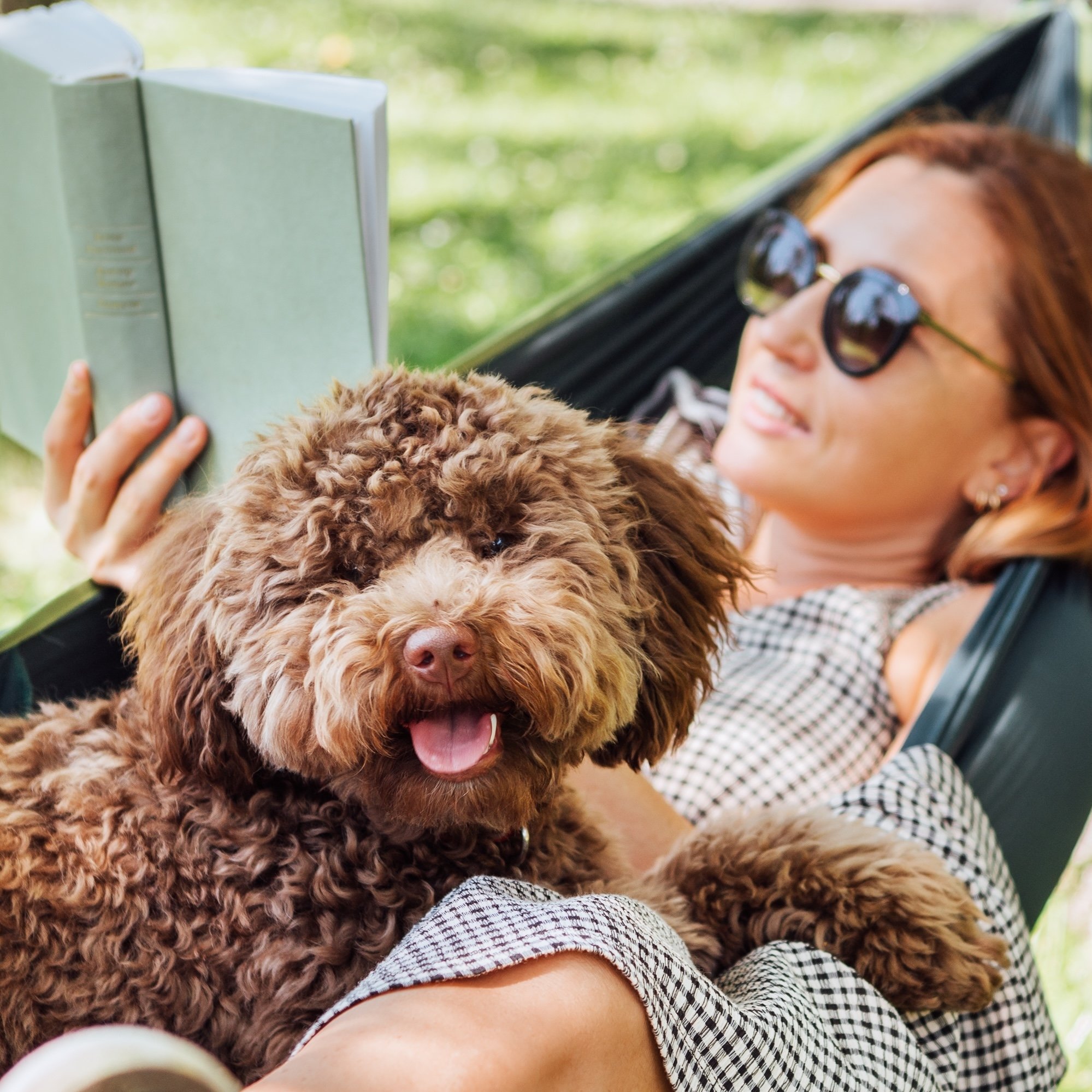 Cool, Hydrated, and In Their Lane: Don’t Let Your Pet Become a Statistic This Summer