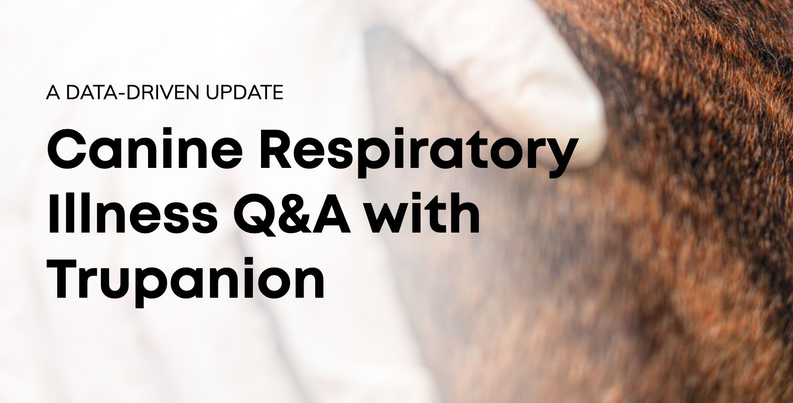 Trupanion Reconvenes Council on Animal Health to Provide Update on ‘Mystery’ Canine Respiratory I...