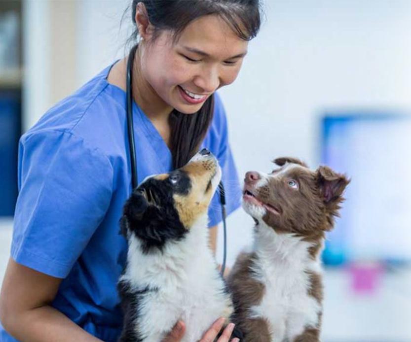 Trupanion is Here to Help our Veterinary Heroes