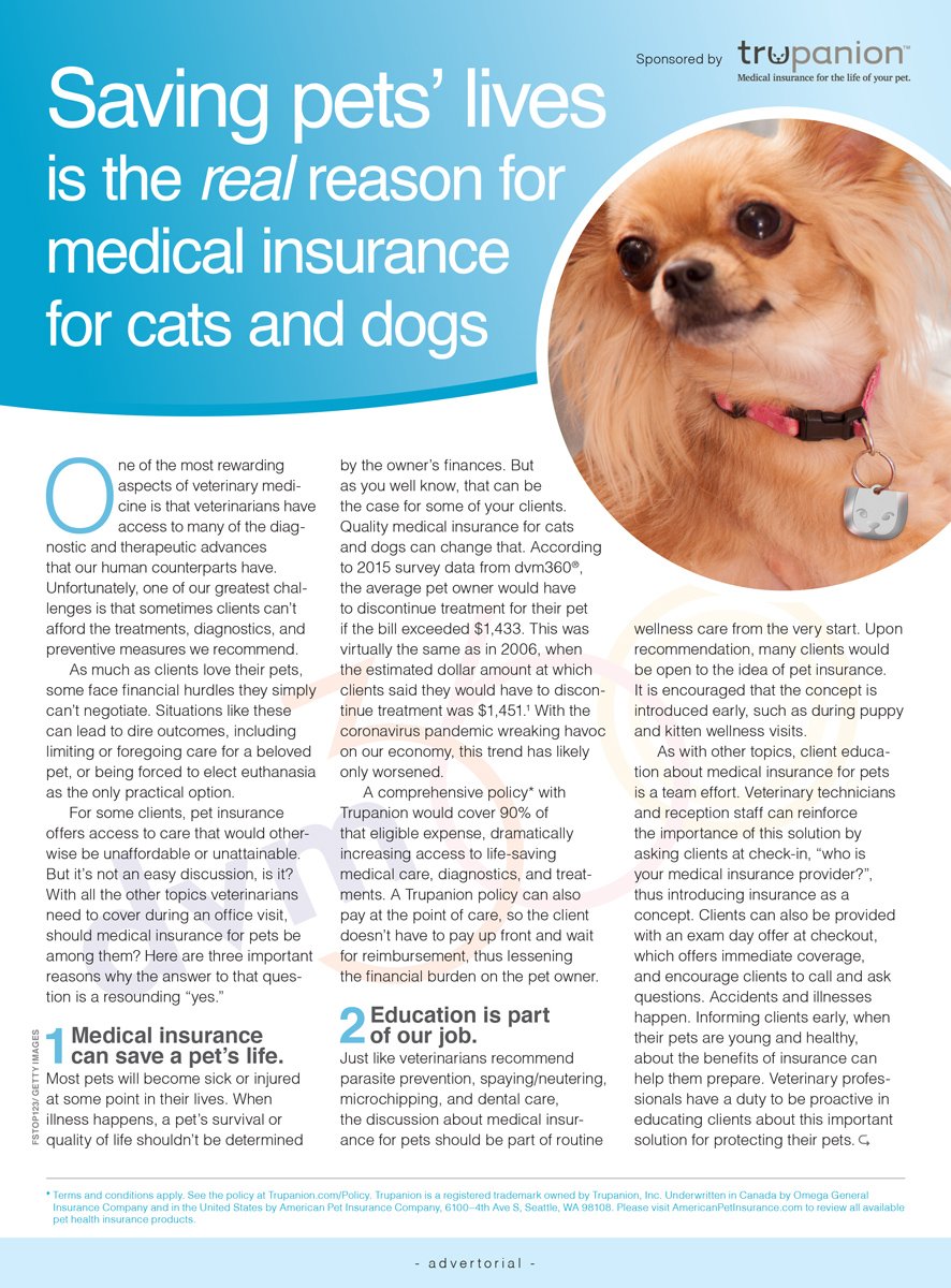 Salvar la vida de las mascotas es la verdadera razón del seguro médico para perros y gatos