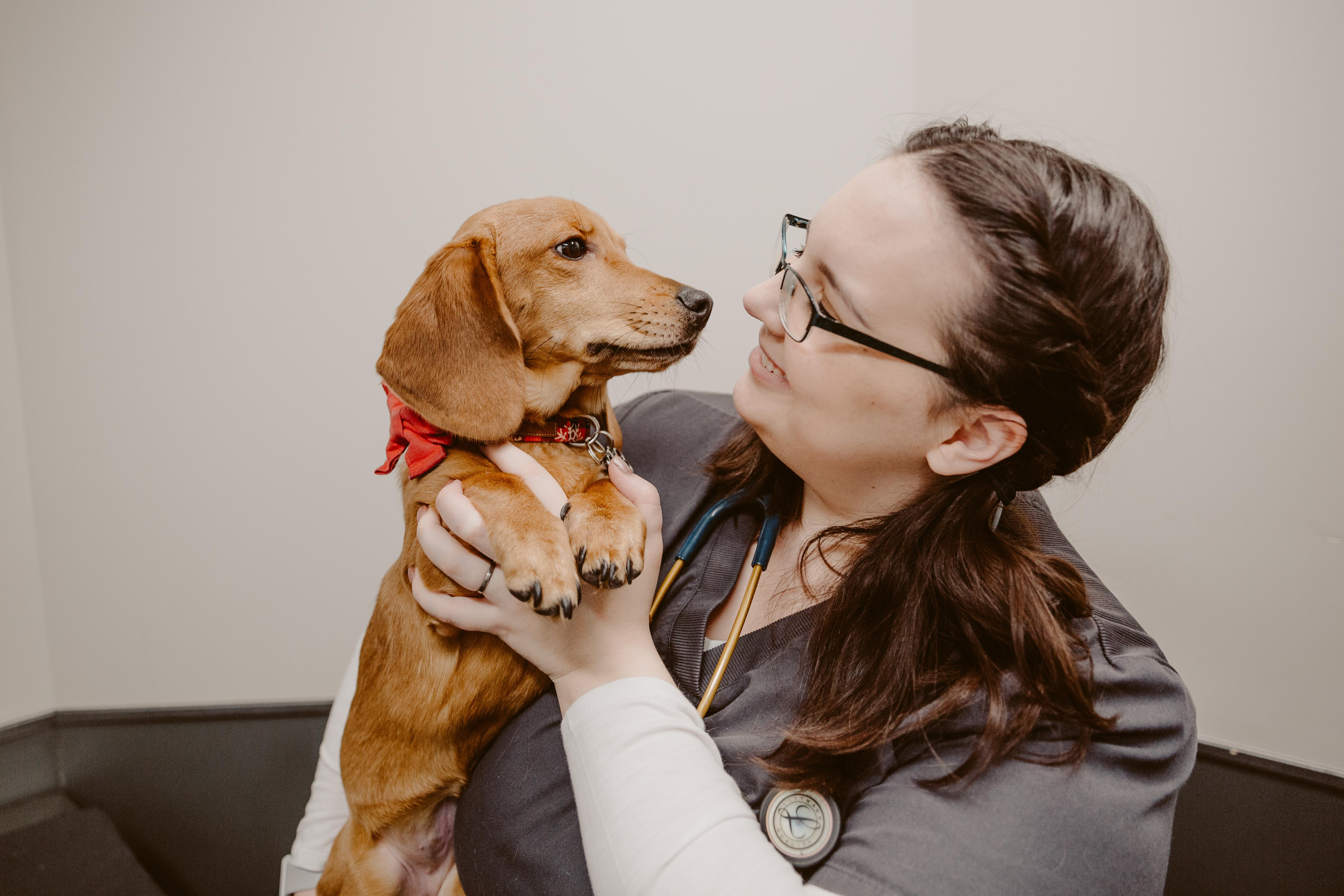 How To Lessen Day-To-Day Challenges And Provide The Best Treatments