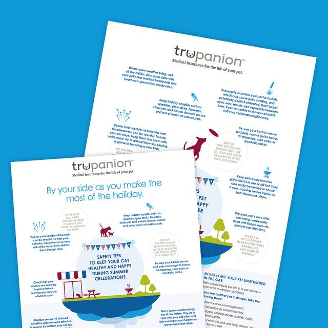 Pet Safety Tips for Summer Celebrations