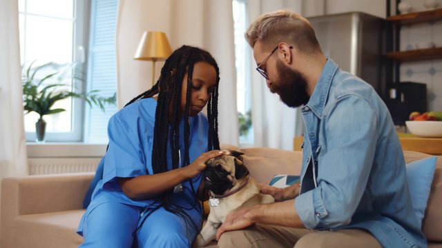 Millions (literally!) of Ways to Love Your Veterinary Team this Veterinary Appreciation Day