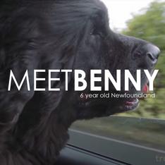 Pet Owner Testimonial: Benny's Story